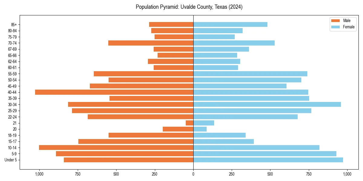Population pyramid for 