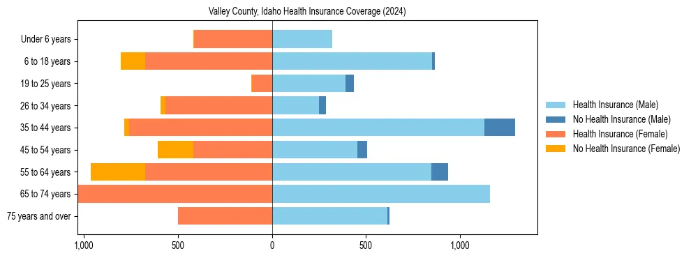 Health insurance pyramid for Valley County, Idaho