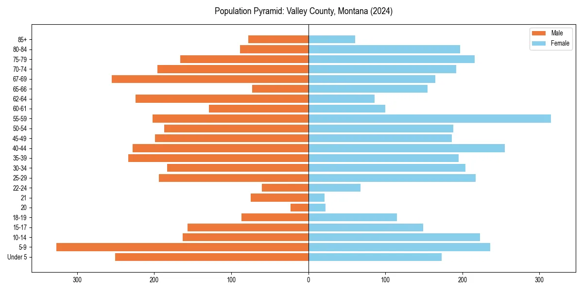 Population pyramid for 