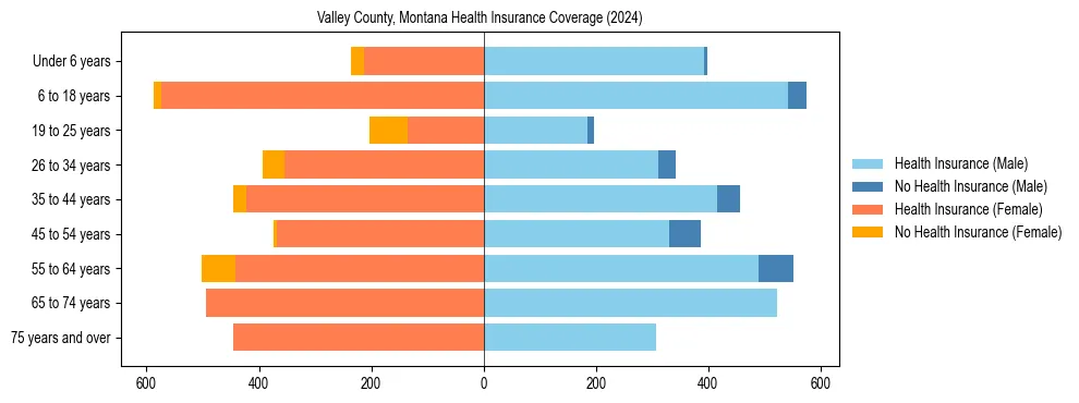 Health insurance pyramid for Valley County, Montana
