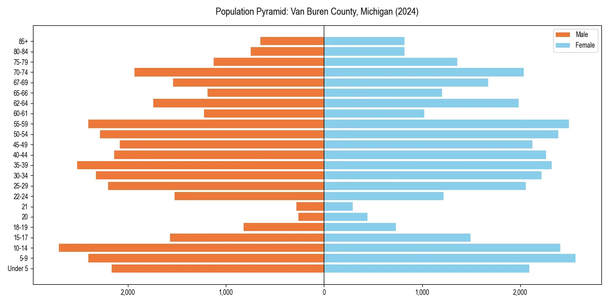 Population pyramid for 