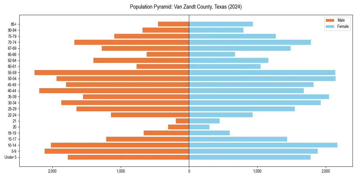 Population pyramid for 
