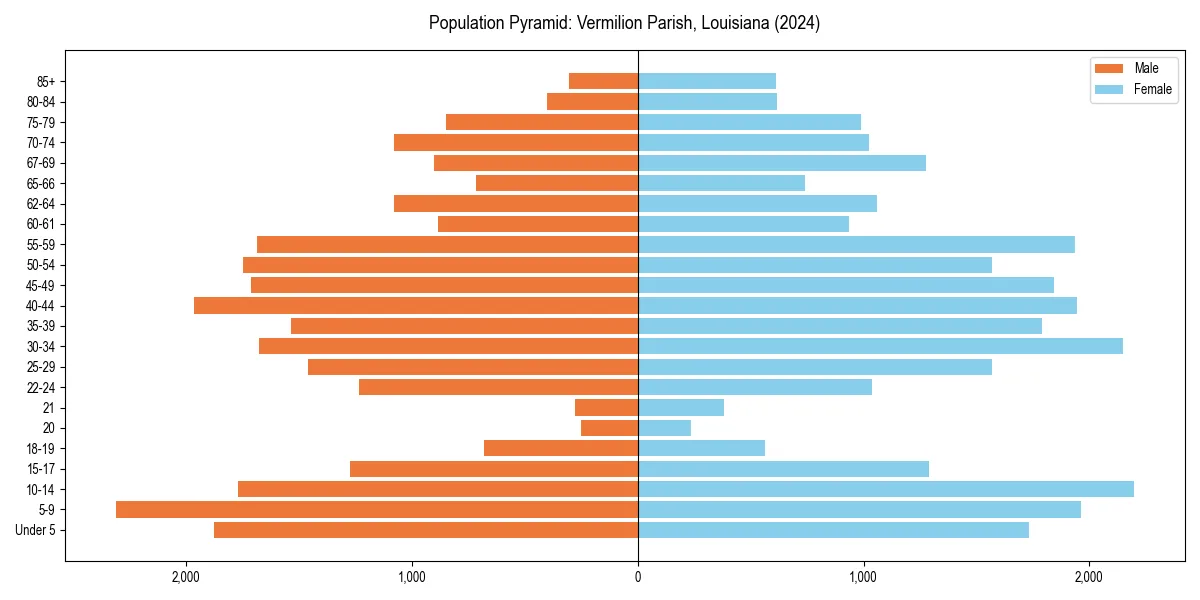 Population pyramid for 