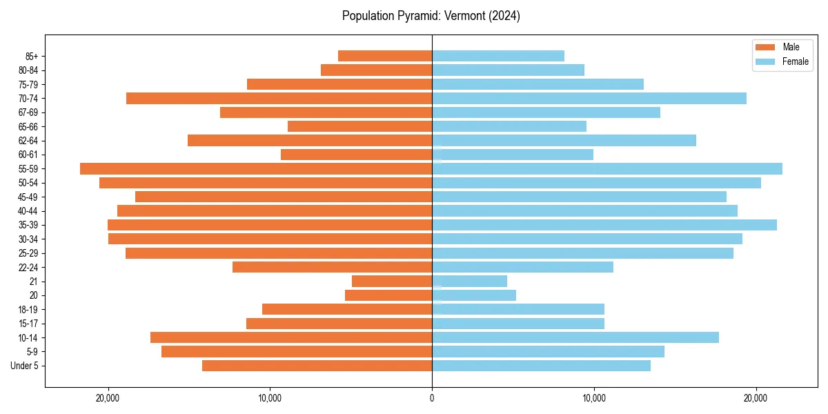 Population pyramid for 