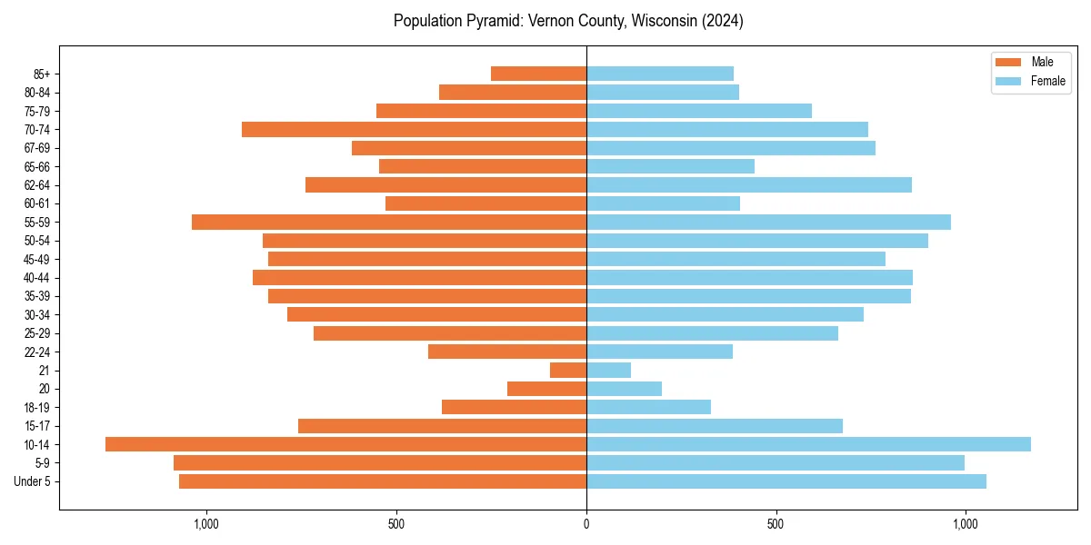 Population pyramid for 