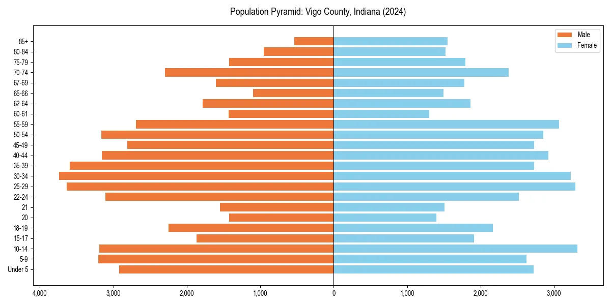 Population pyramid for 