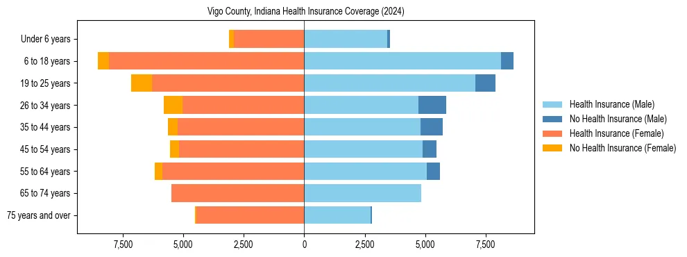 Health insurance pyramid for Vigo County, Indiana