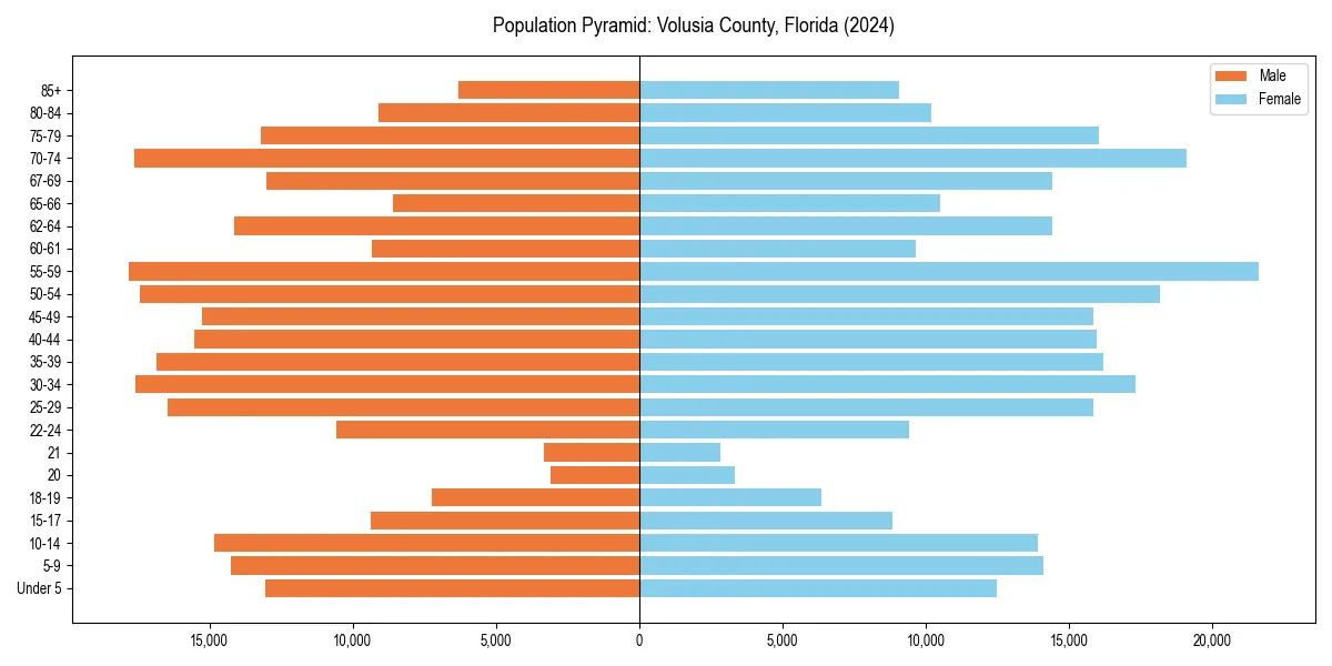 Population pyramid for 
