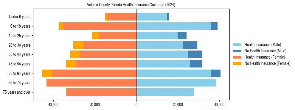Health insurance pyramid for Volusia County, Florida