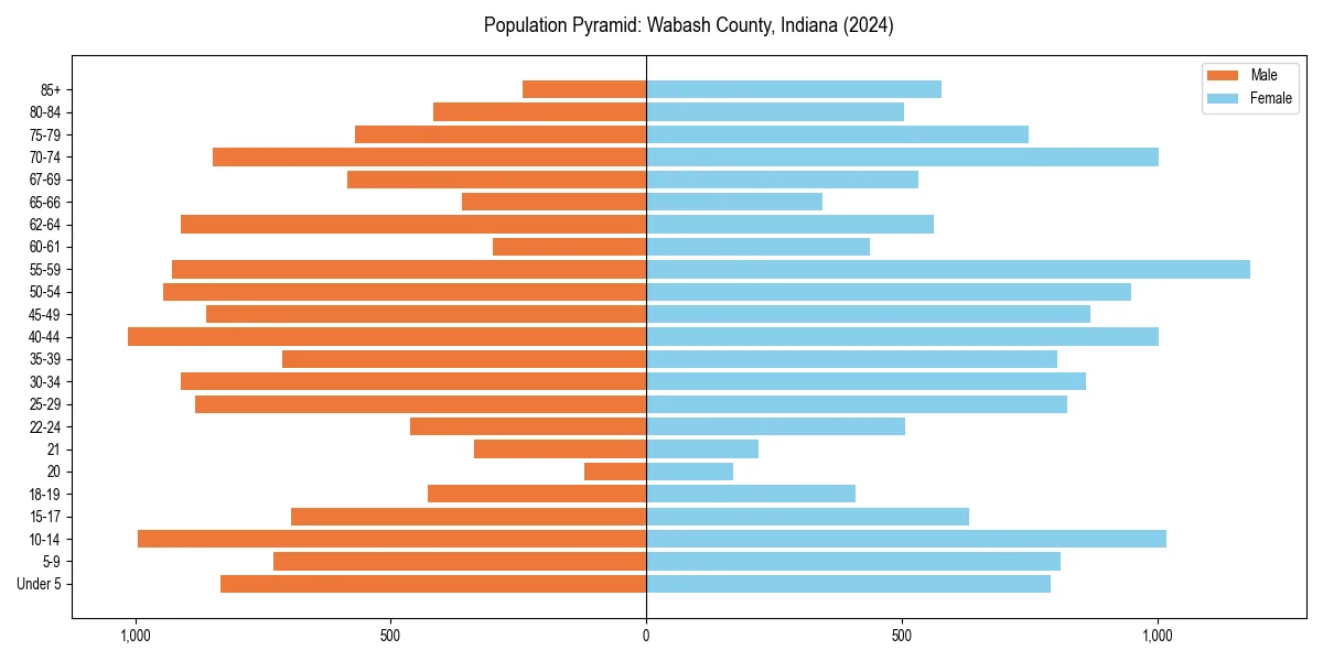 Population pyramid for 