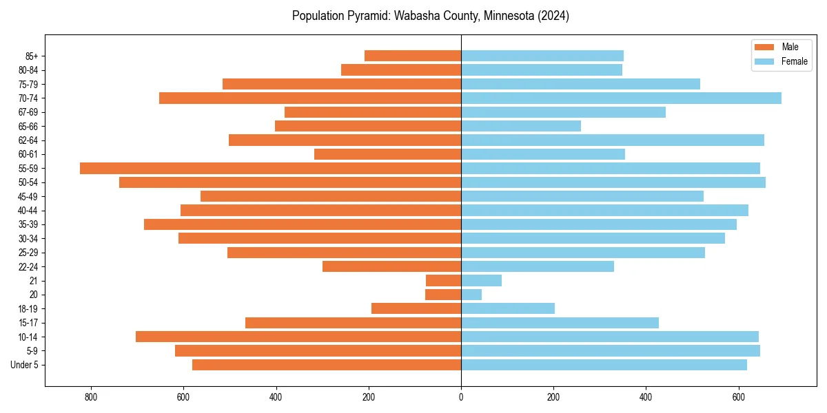 Population pyramid for 