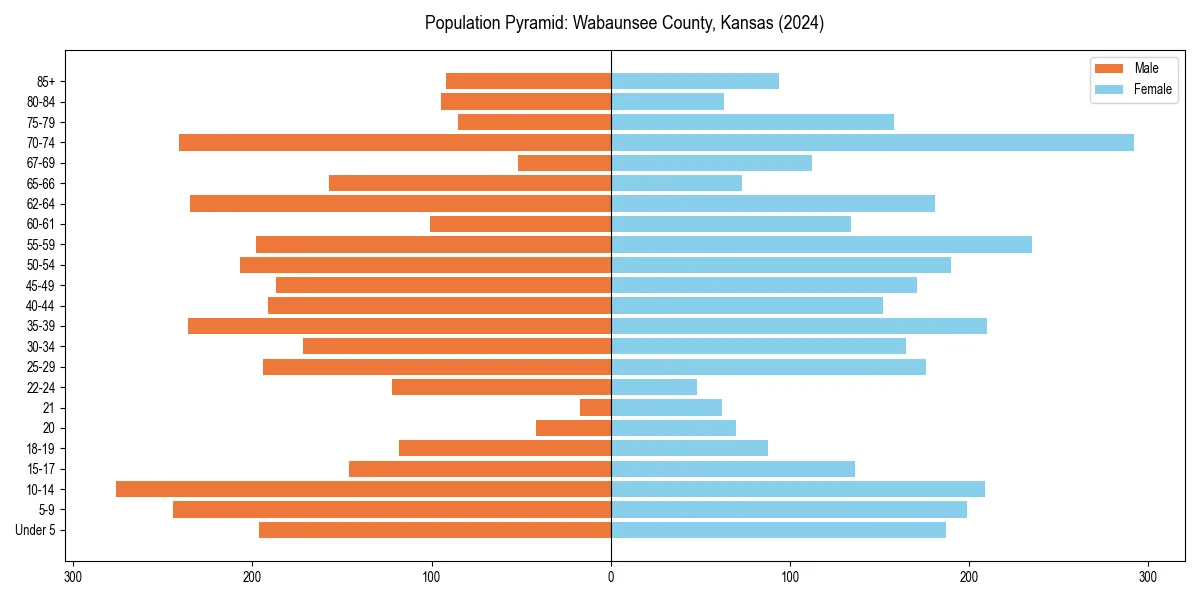Population pyramid for 