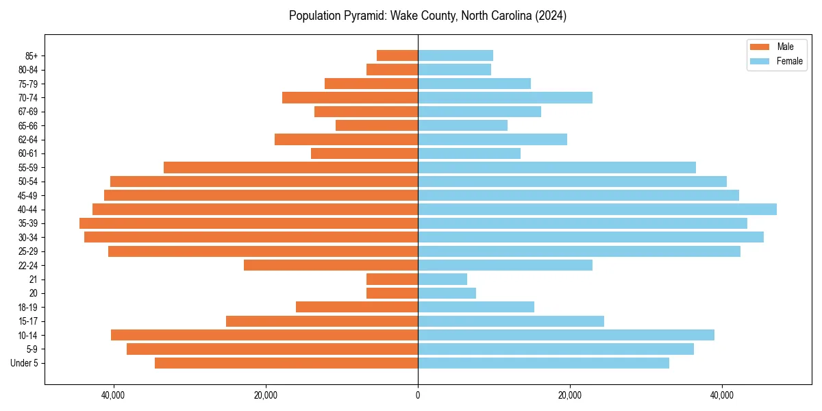 Population pyramid for 