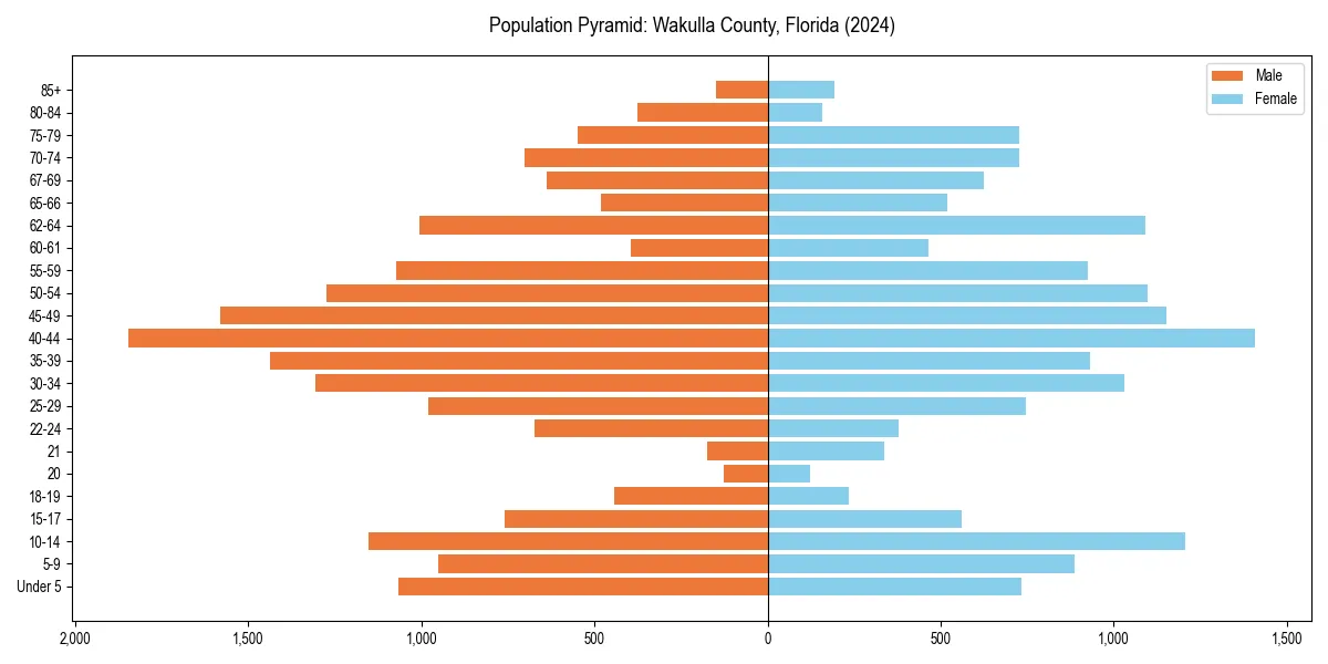 Population pyramid for 
