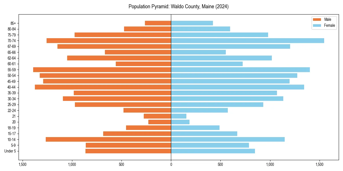 Population pyramid for 