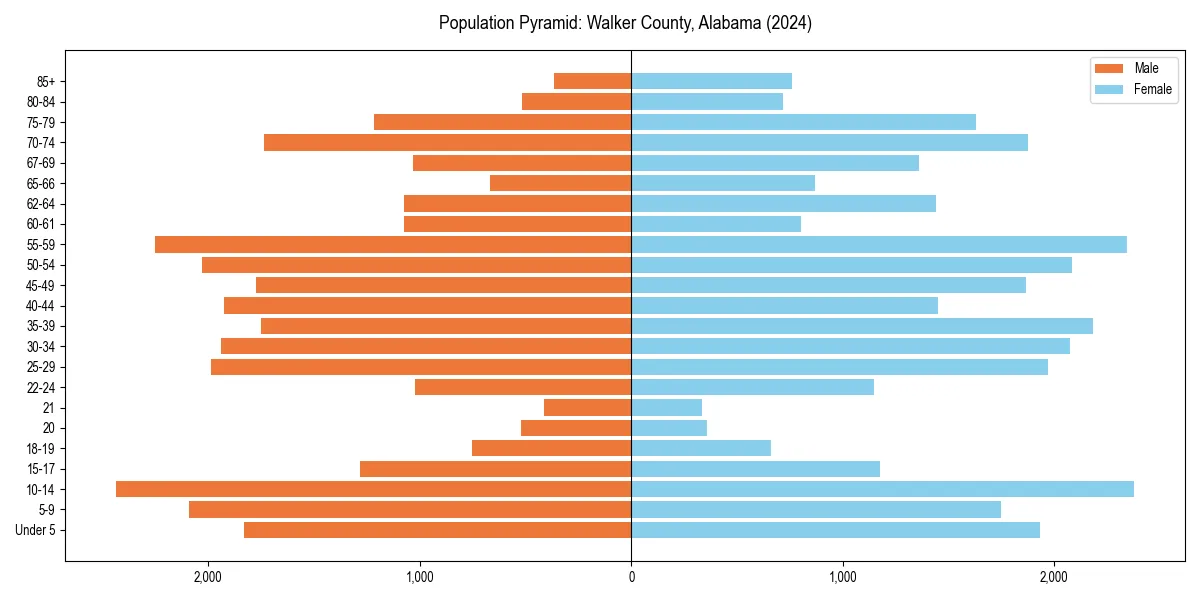 Population pyramid for 
