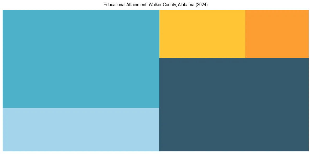 Education Treemap for  in 2024