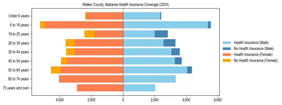 Health insurance pyramid for Walker County, Alabama