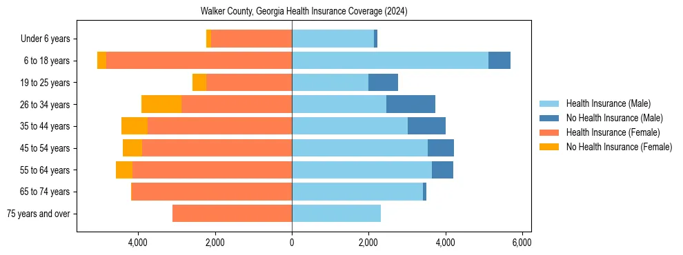 Health insurance pyramid for Walker County, Georgia