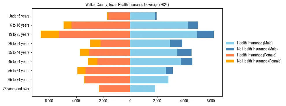 Health insurance pyramid for Walker County, Texas