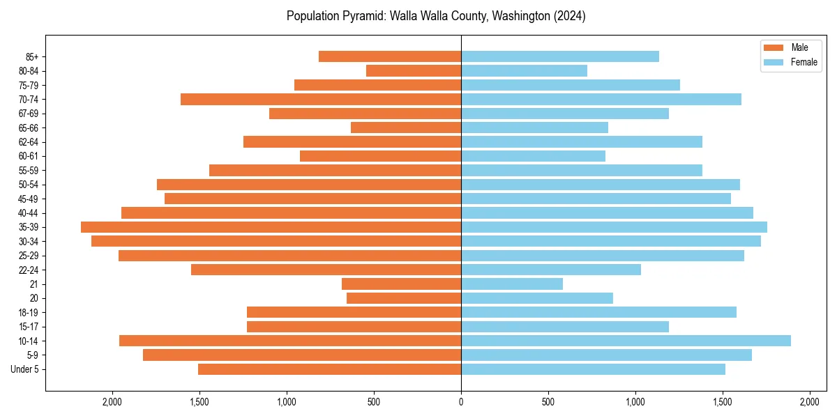 Population pyramid for 
