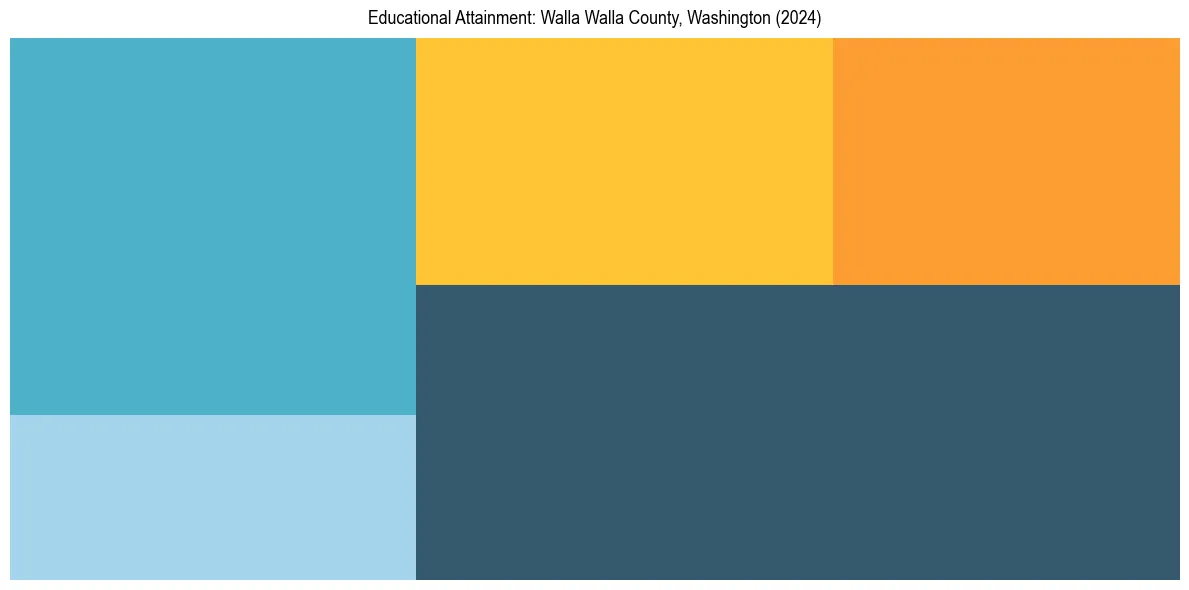 Education Treemap for  in 2024