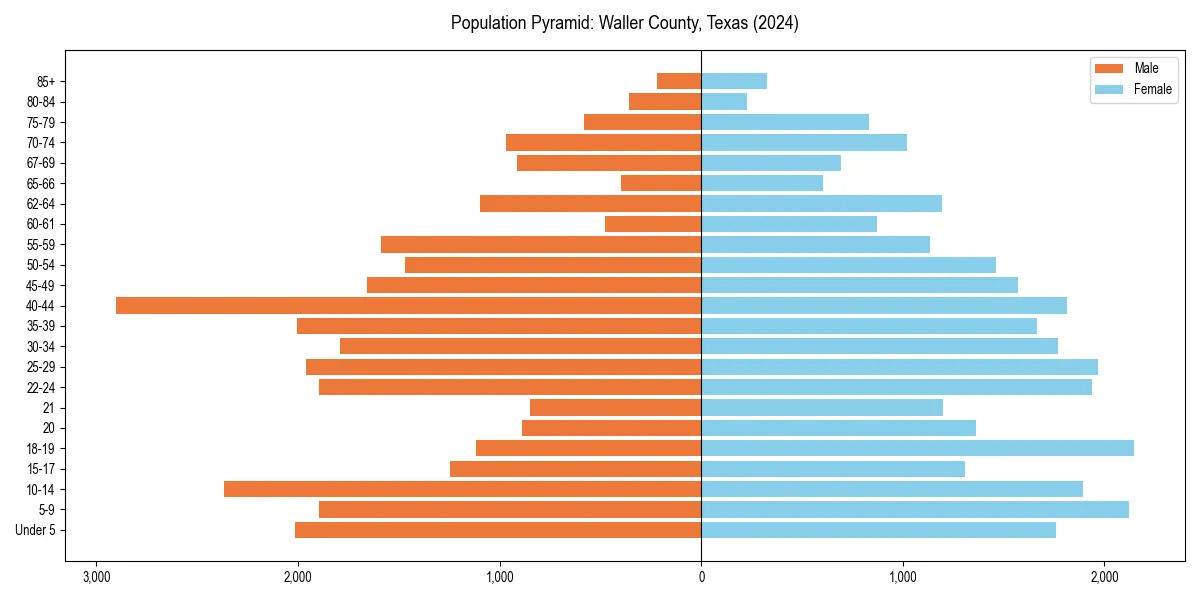 Population pyramid for 