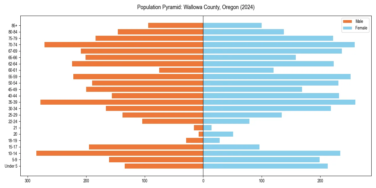 Population pyramid for 