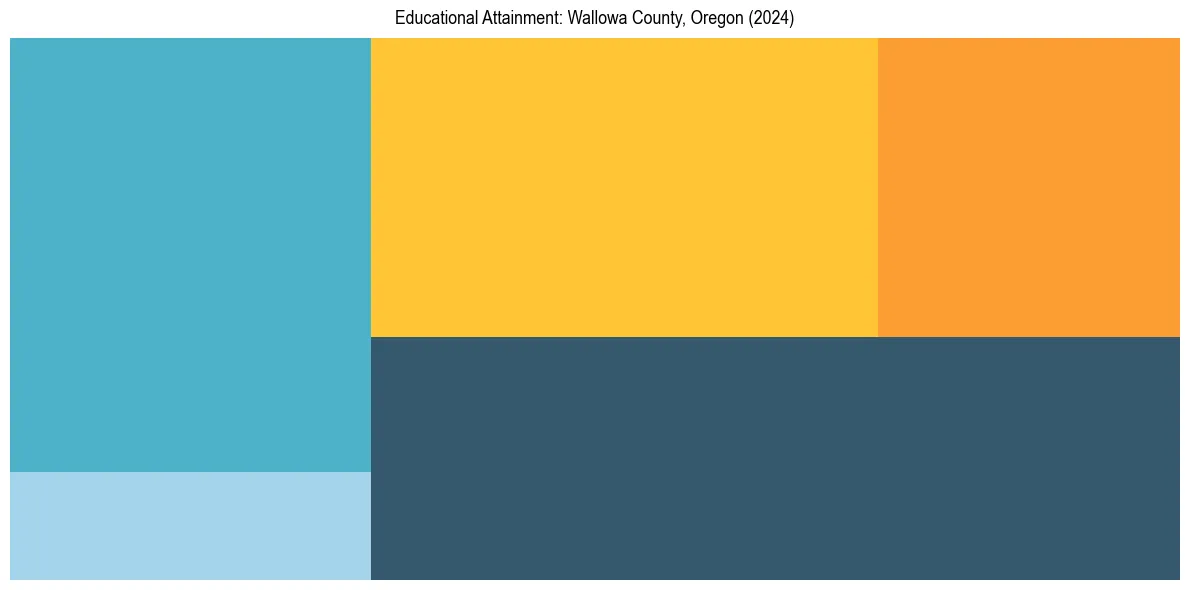 Education Treemap for  in 2024