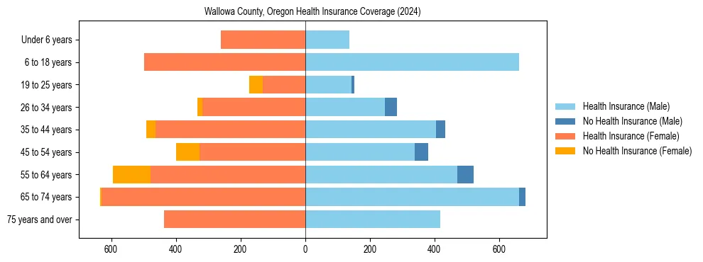 Health insurance pyramid for Wallowa County, Oregon