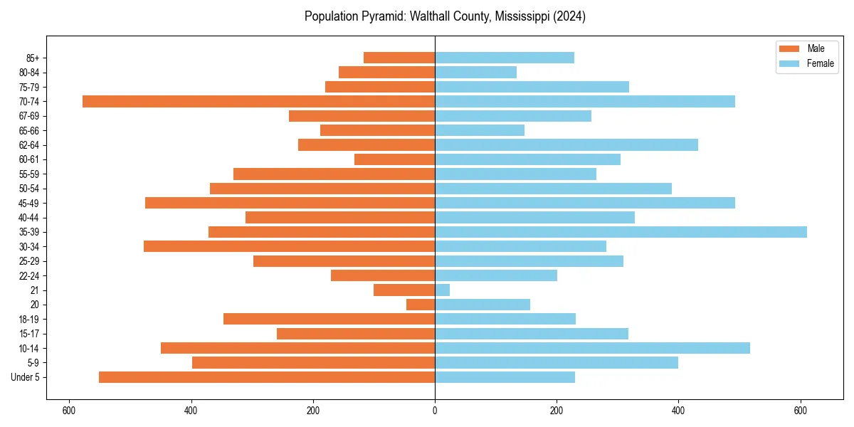 Population pyramid for 