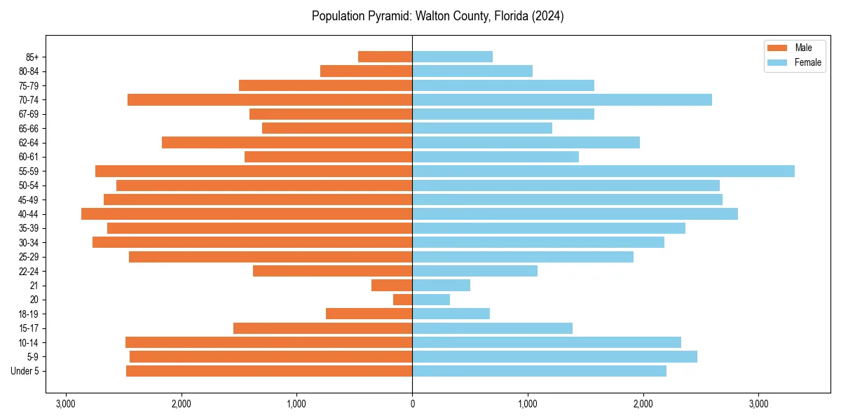 Population pyramid for 