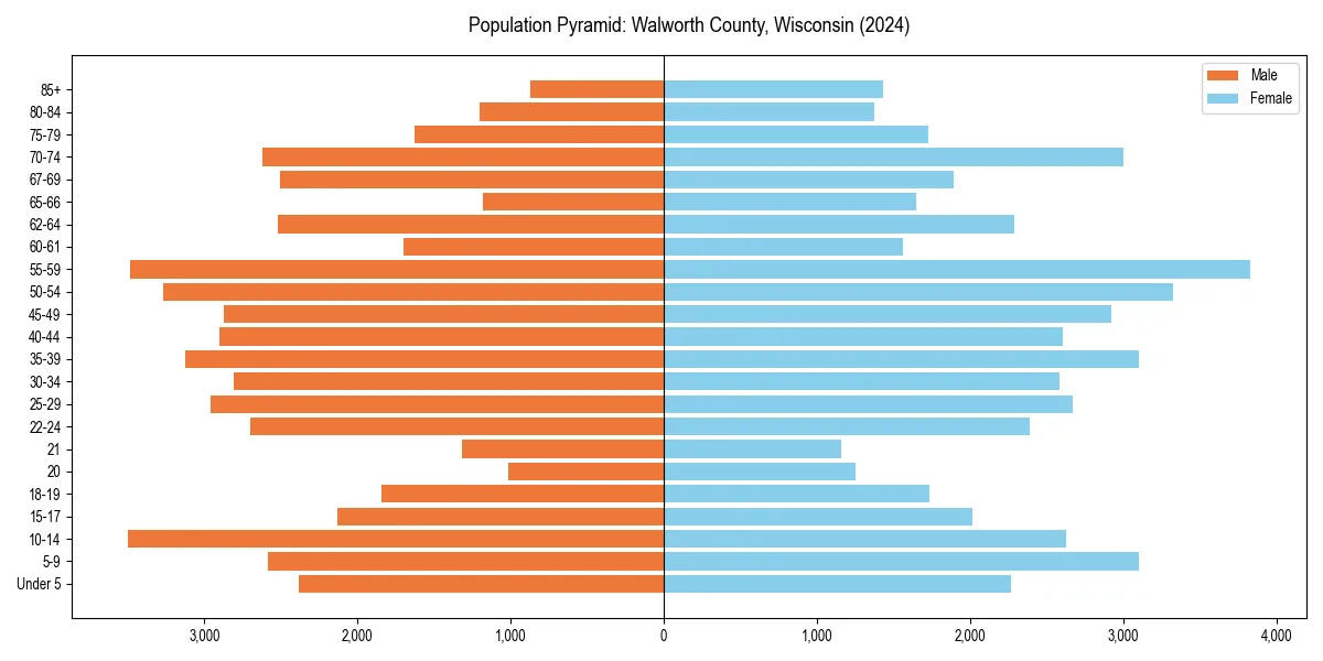Population pyramid for 