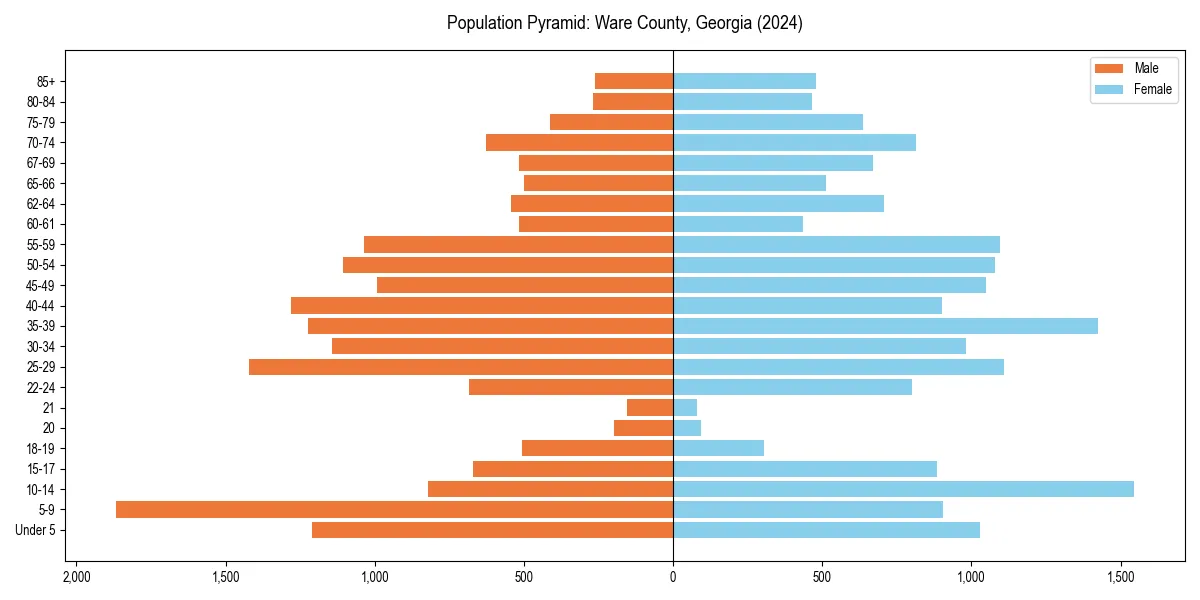 Population pyramid for 