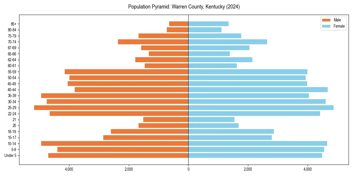 Population pyramid for 