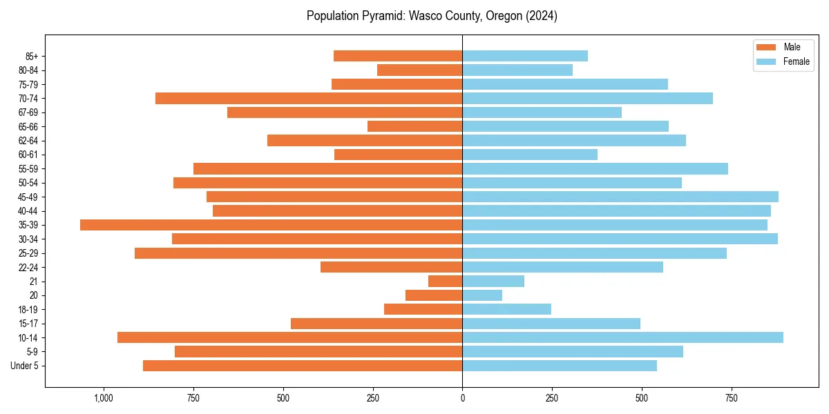 Population pyramid for 