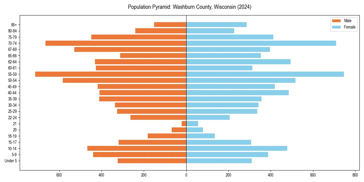 Population pyramid for 