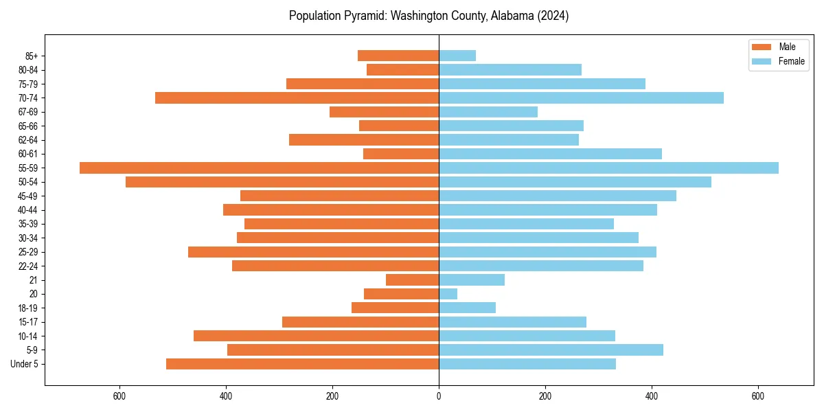 Population pyramid for 