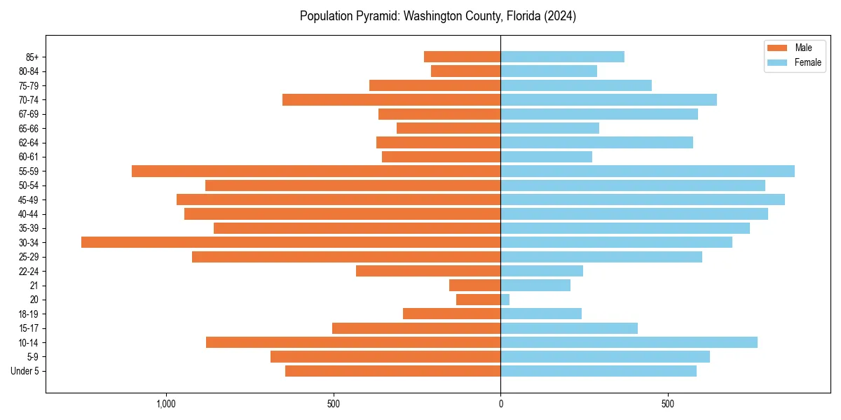 Population pyramid for 