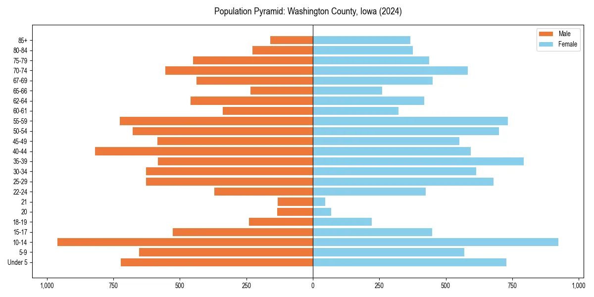 Population pyramid for 