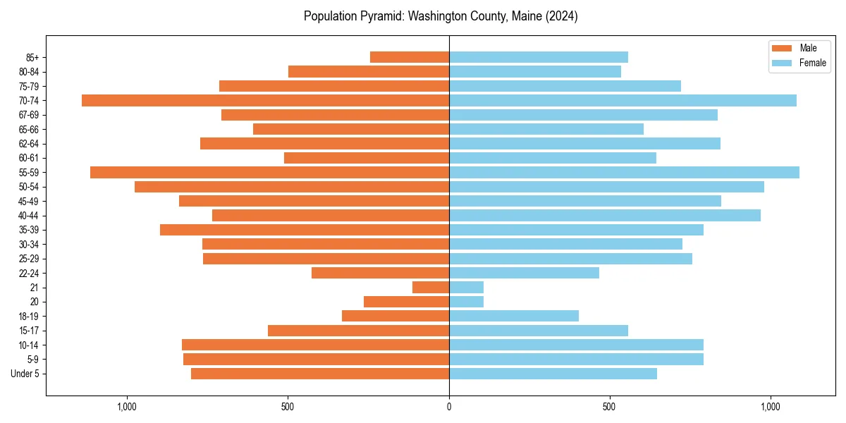 Population pyramid for 