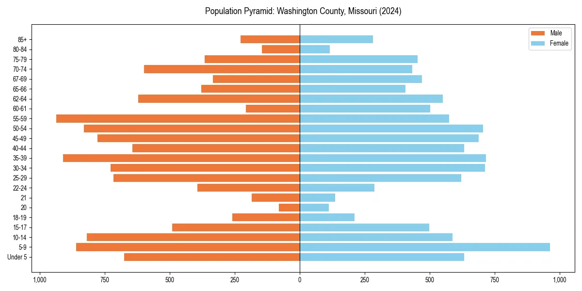 Population pyramid for 