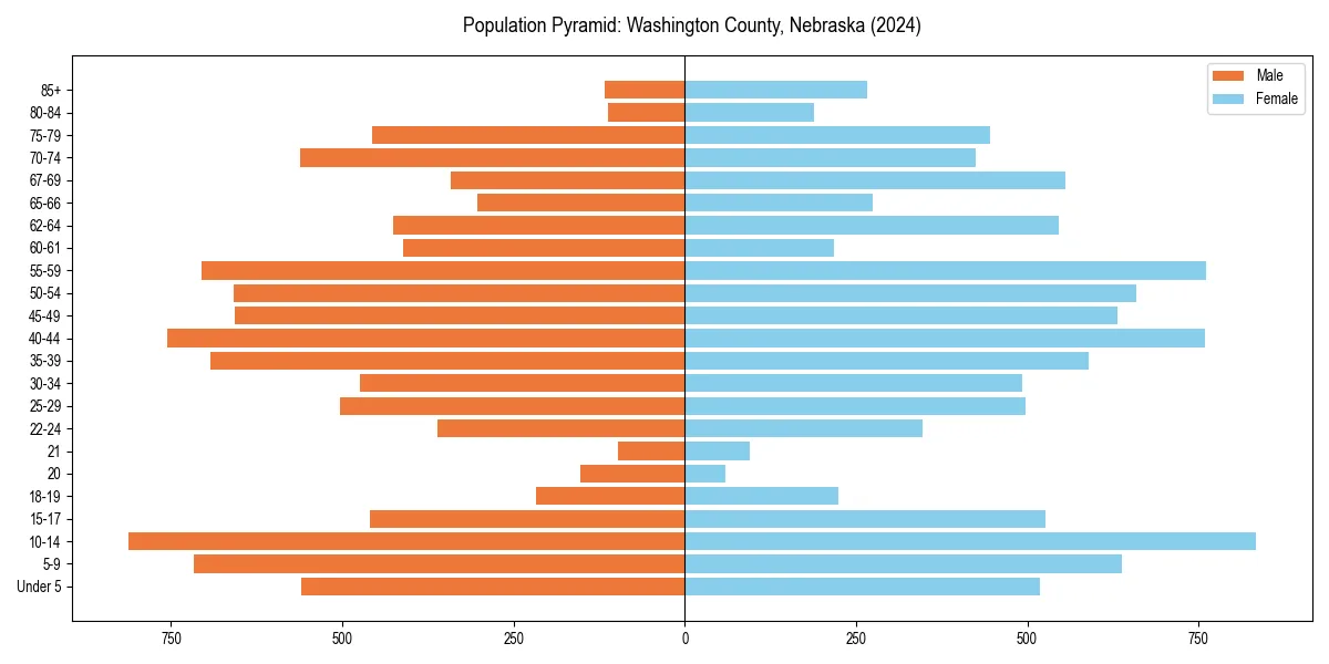 Population pyramid for 