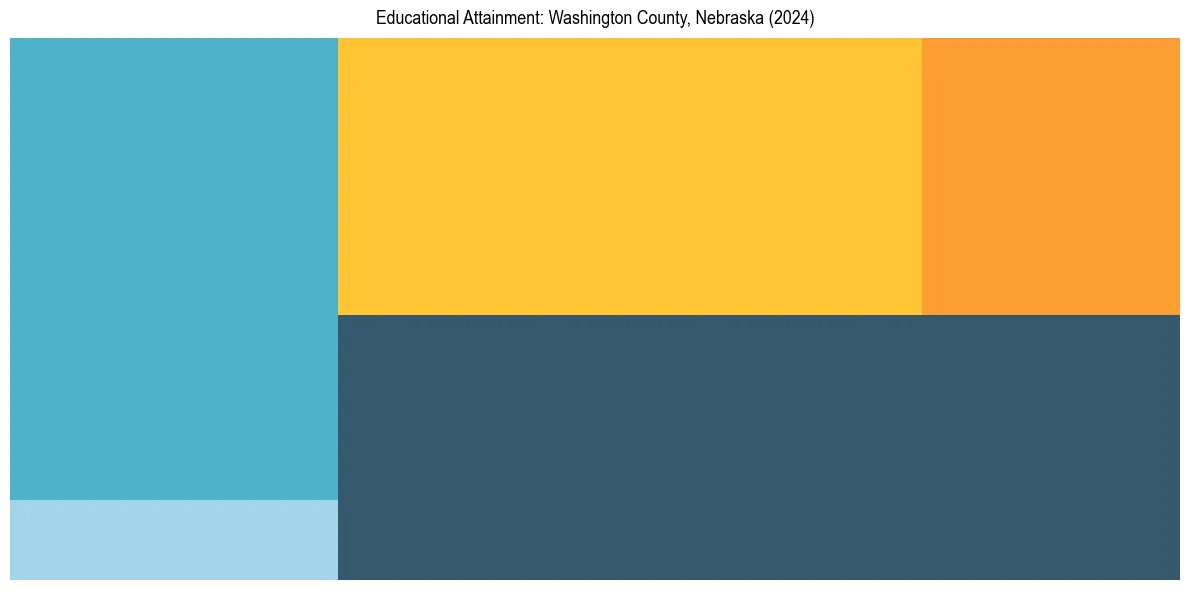 Education Treemap for  in 2024