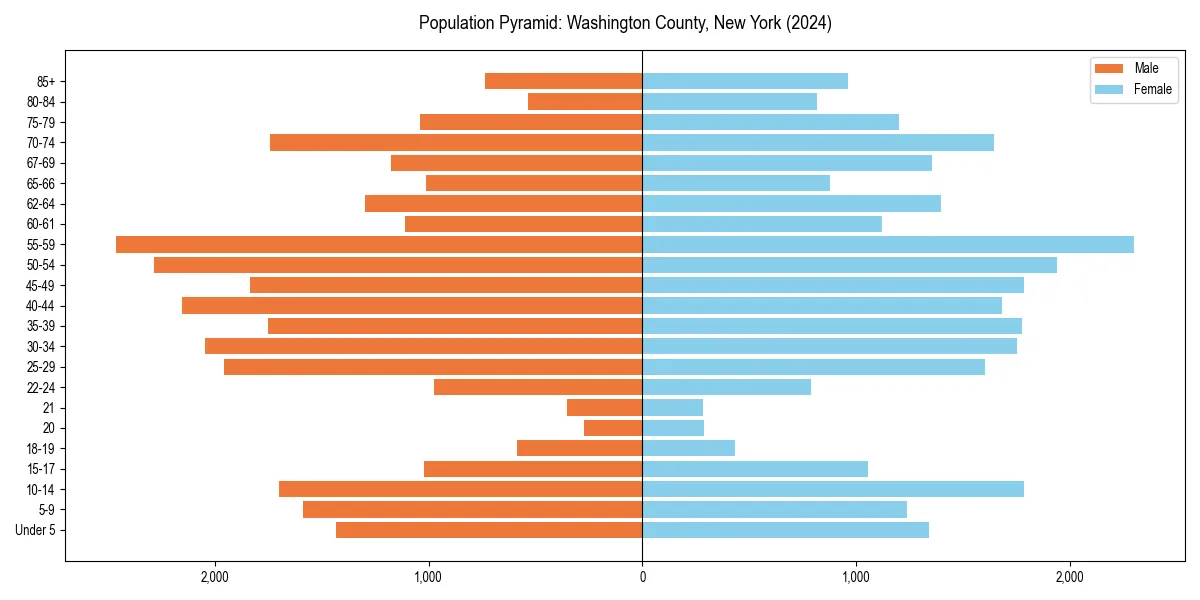 Population pyramid for 