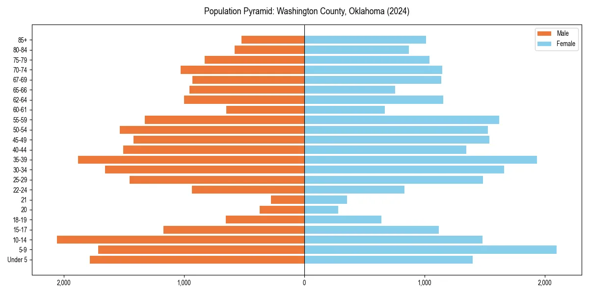 Population pyramid for 