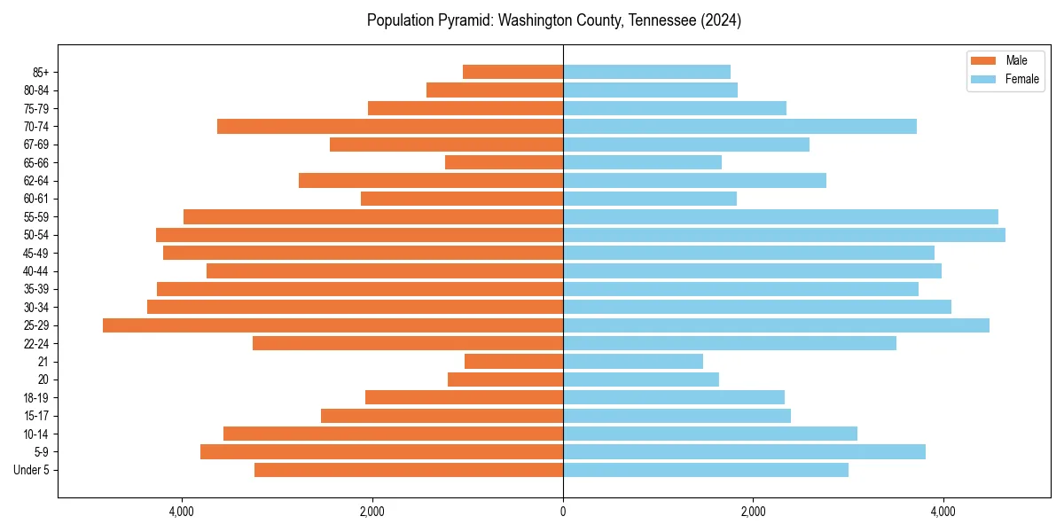 Population pyramid for 