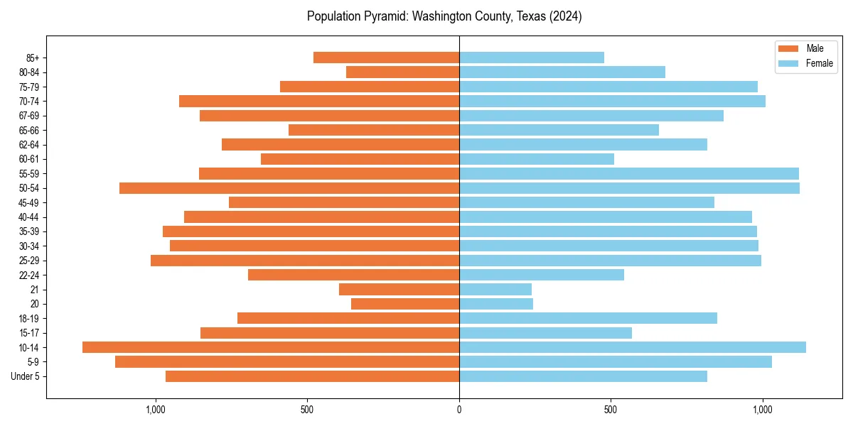 Population pyramid for 