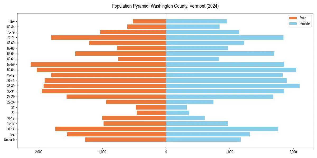 Population pyramid for 