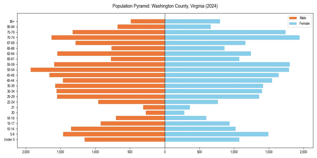 Population pyramid for 